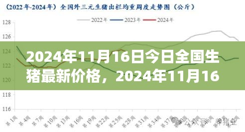 2024年11月16日全国生猪最新价格概览，市场走势与养殖策略