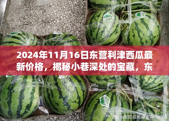 揭秘东营利津特色西瓜最新价格与故事，小巷深处的宝藏，2024年价格一览表