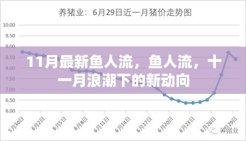 11月最新鱼人流趋势，浪潮下的新动向