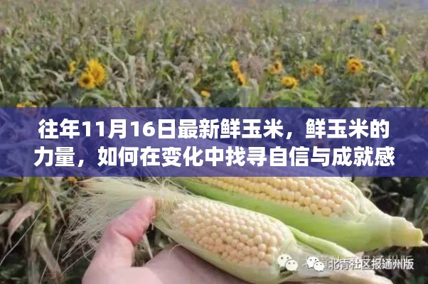 鲜玉米的力量，探寻自信与成就感的种子之旅