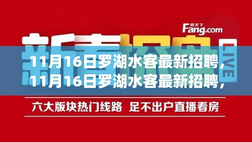 11月16日罗湖水客最新招聘，探索职业新机遇，共筑辉煌未来