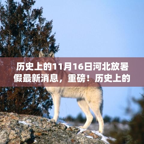 历史上的11月16日河北放暑假最新消息揭秘，暑假安排新动态全解析