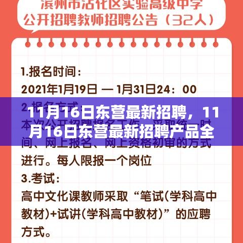 11月16日东营最新招聘产品全面评测与介绍