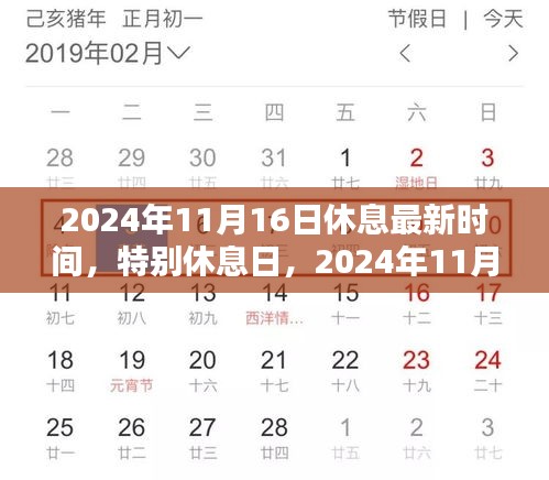 2024年11月特别休息日，暖阳下的欢乐时光