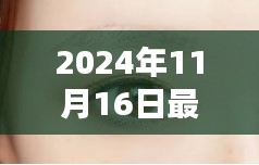 时尚潮流新宠，最新流行雾眉亮相于2024年秋冬季节