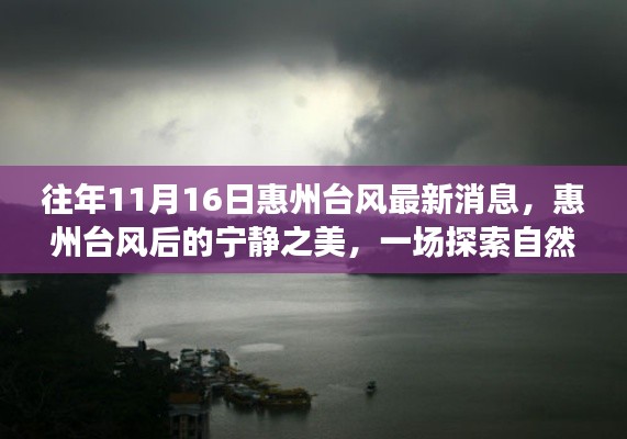 惠州台风后的宁静之美，探索自然美景的奇妙之旅——历年11月16日台风最新消息回顾