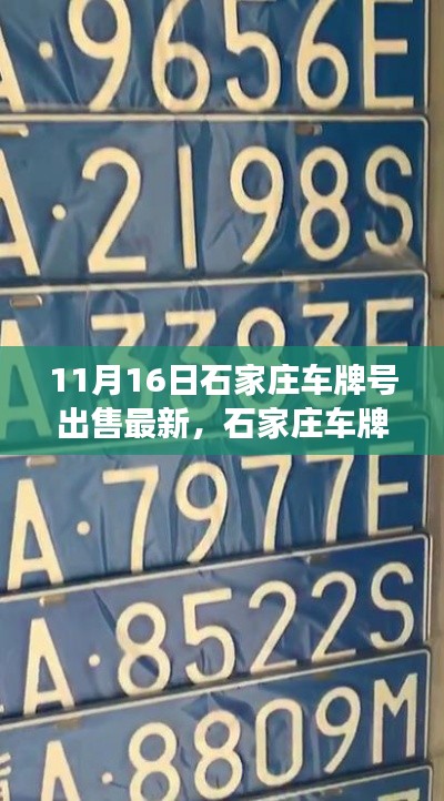 石家庄车牌号最新出售动态深度解读，市场分析与亲身体验分享