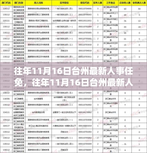 往年11月16日台州人事任免深度解析，特性、体验、对比与群体分析综述