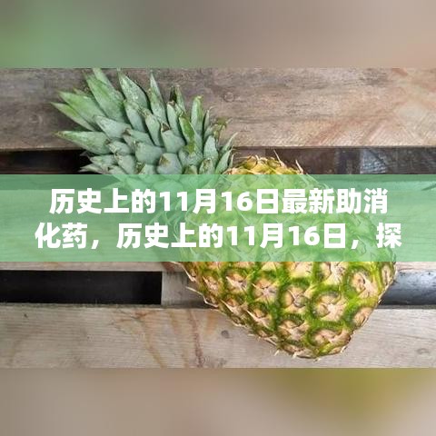 历史上的11月16日，最新助消化药制作与应用指南