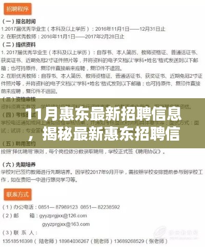 揭秘最新惠东招聘信息，职场人的十一月求职指南与求职攻略