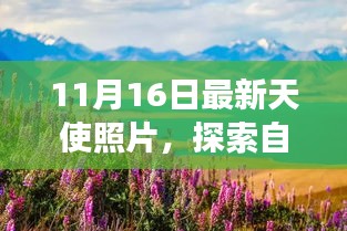 11月16日天使照片，自然美景与心灵之旅的探寻之旅