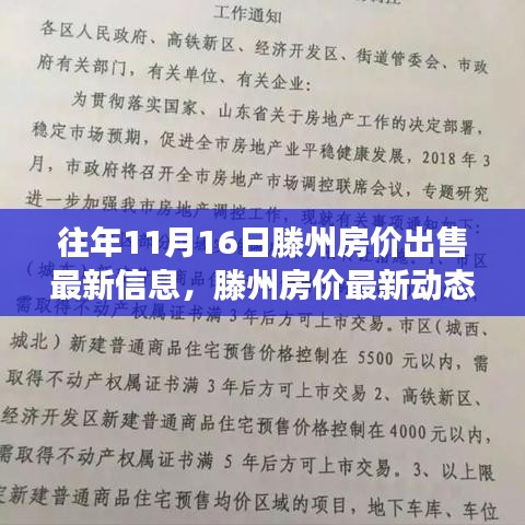 解读滕州房地产市场现状与未来趋势，历年11月16日滕州房价最新动态及出售信息分析