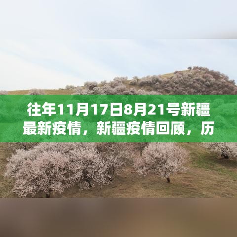 新疆历年疫情回顾与最新分析，历年关键时期疫情回顾及最新疫情动态（最新报告）