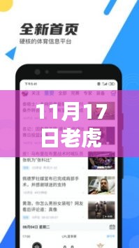 11月17日老虎直播下载最新版攻略，掌握直播新动向