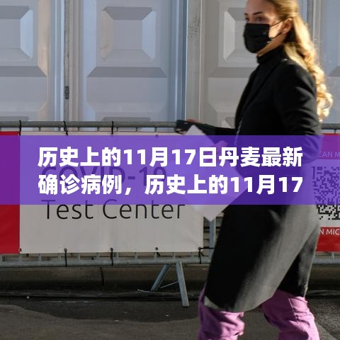 丹麦历史确诊病例深度解析，聚焦11月17日最新数据