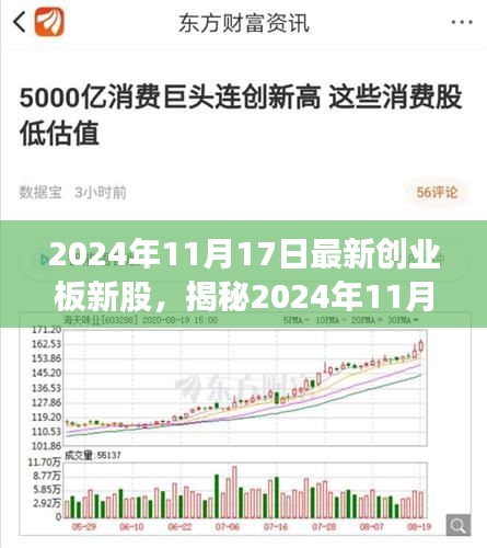 揭秘最新创业板新股，深度解读三大要点，尽在2024年11月17日新股动态