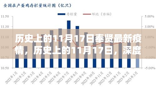 历史上的11月17日奉贤疫情深度解析与影响分析