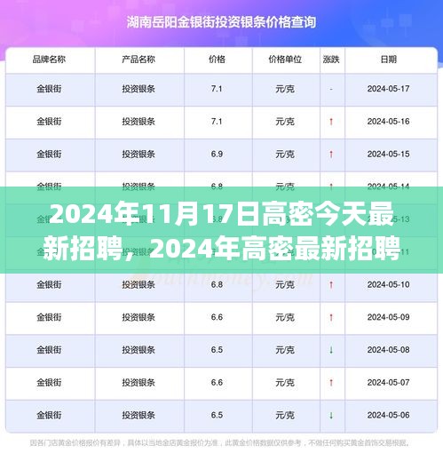 2024年高密最新招聘活动参与指南，从入门到应聘成功全攻略