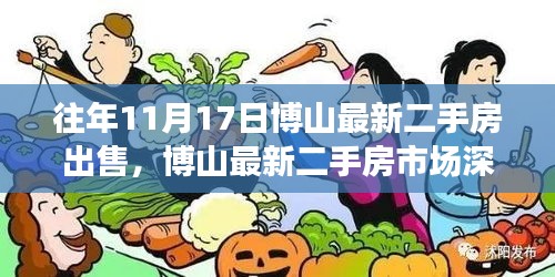 历年11月17日博山二手房市场动态深度观察与回顾分析，最新房源出售与市场趋势探讨