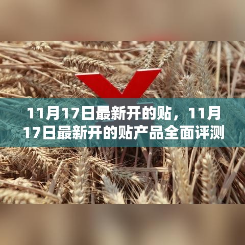 11月17日新开产品全面评测与介绍