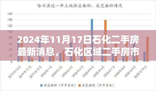 石化区域二手房市场深度解析及最新消息展望（2024年11月版）