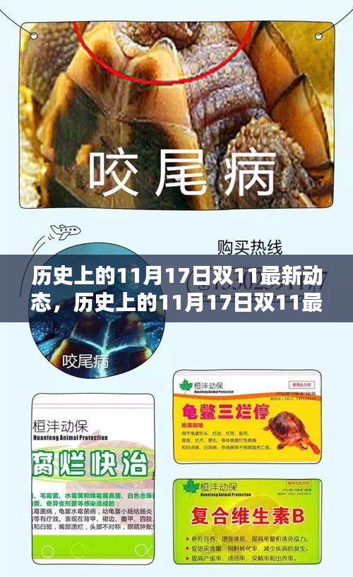 历史上的双11动态概览，揭秘双11最新动态与变迁的历程