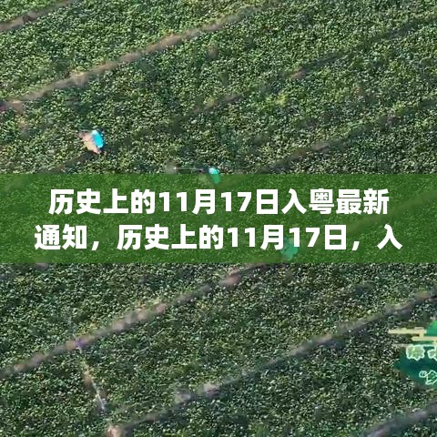 历史上的11月17日，开启入粤新篇章，励志之旅启程学习成长之路