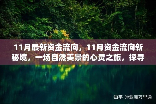 探寻自然美景的心灵之旅，揭秘最新资金流向与宁静平和的内心秘境