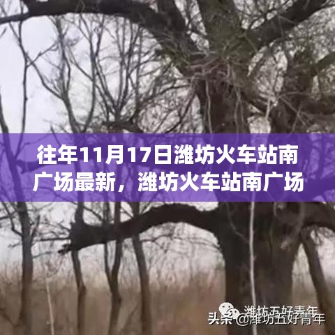 揭秘潍坊火车站南广场最新进展，十一月十七日的变迁纪实