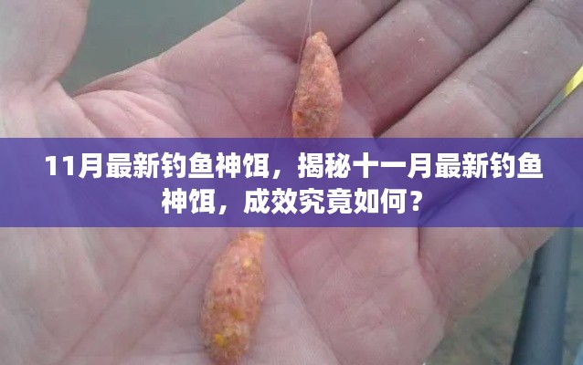 揭秘，十一月最新钓鱼神饵，效果如何？试用体验报告