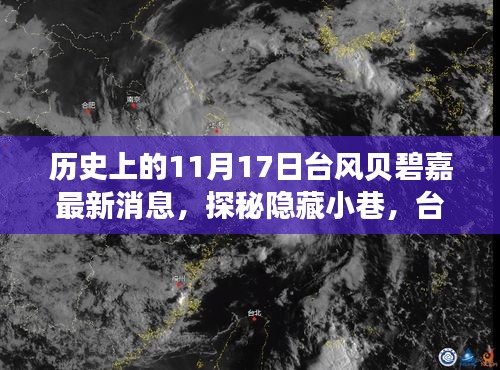 台风贝碧嘉下的特色小店奇遇记，历史11月17日最新消息探秘隐藏小巷的魅力