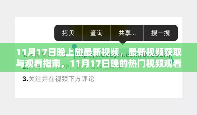 11月17日晚热门视频观看指南，最新视频获取与步骤详解