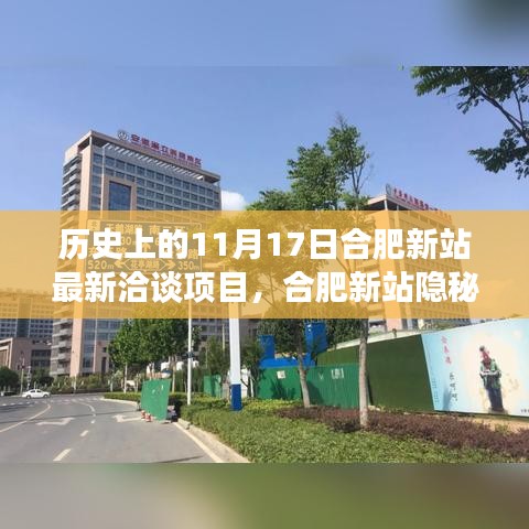 合肥新站隐秘小巷宝藏小店与历史上的惊艳洽谈项目纪实——揭秘合肥新站最新洽谈项目纪实报道