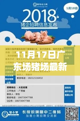 广东猪场最新招聘应聘全攻略，初学者与进阶用户通用指南（11月17日）