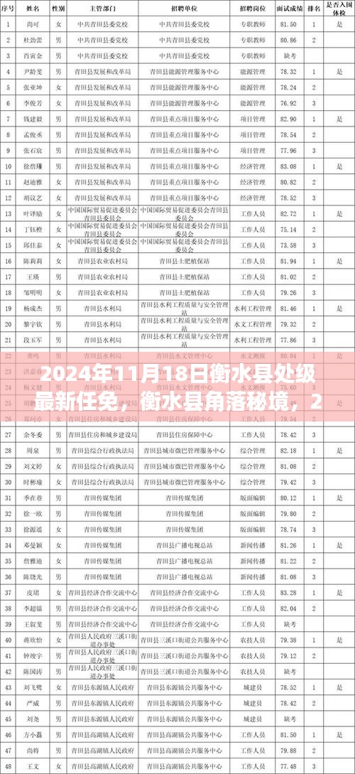 衡水县角落秘境的独特风情与最新任免消息发布于2024年11月18日