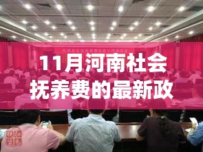 河南社会抚养费政策深度解读，最新篇章与深度解读（2017年11月）