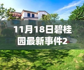 碧桂园温馨日常，意外惊喜派对事件回顾 2019年11月18日