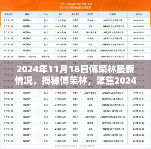 揭秘傅荣林，最新动态与成长历程（2024年11月18日更新）