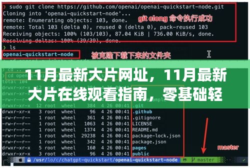 11月最新大片网址，11月最新大片在线观看指南，零基础轻松掌握观影技巧