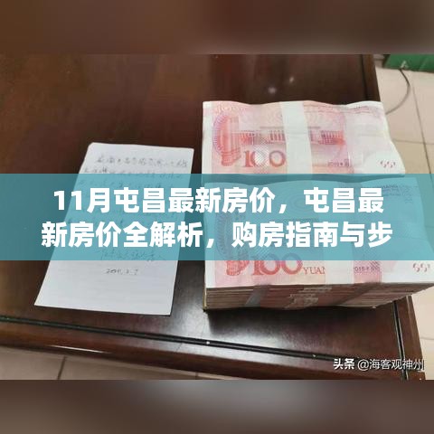 屯昌最新房价解析及购房指南，全面洞悉购房步骤与细节