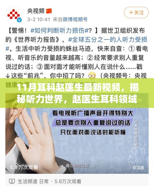 赵医生揭秘听力世界，深度解析与最新诊疗技术介绍