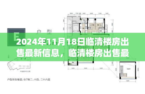 临清楼房最新出售信息解读，房产市场热点与临清楼房出售最新动态（2024年11月18日）