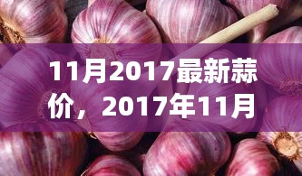 时代印记下的市场波动，2017年11月蒜价风云