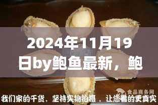 鲍鱼揭秘，未来日期2024年11月19日的三大要点深度解析