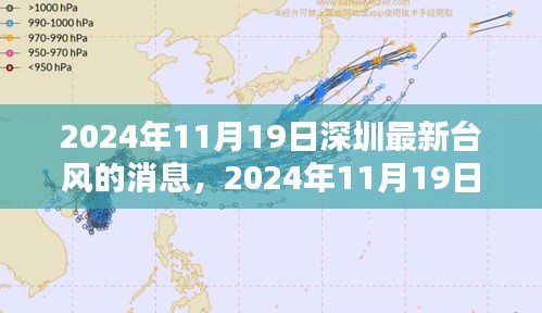 2024年11月19日深圳台风最新动态及消息