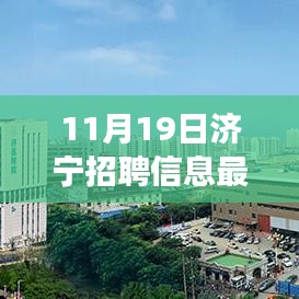 聚焦济宁招聘市场新风向，最新招聘信息一网打尽，济宁招聘市场趋势解析（11月19日）