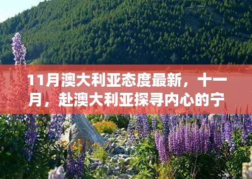 十一月赴澳大利亚探寻心灵宁静与美景的奇妙之旅