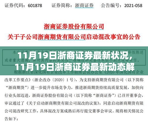 浙商证券最新动态解析，11月19日最新状况报告