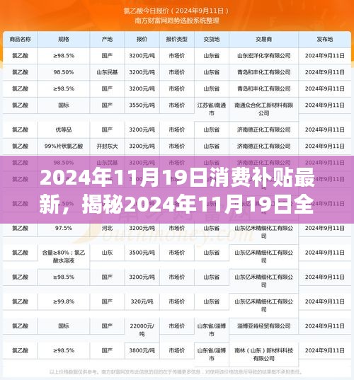 揭秘2024年11月19日全新消费补贴盛宴，省钱攻略与最新补贴信息解读