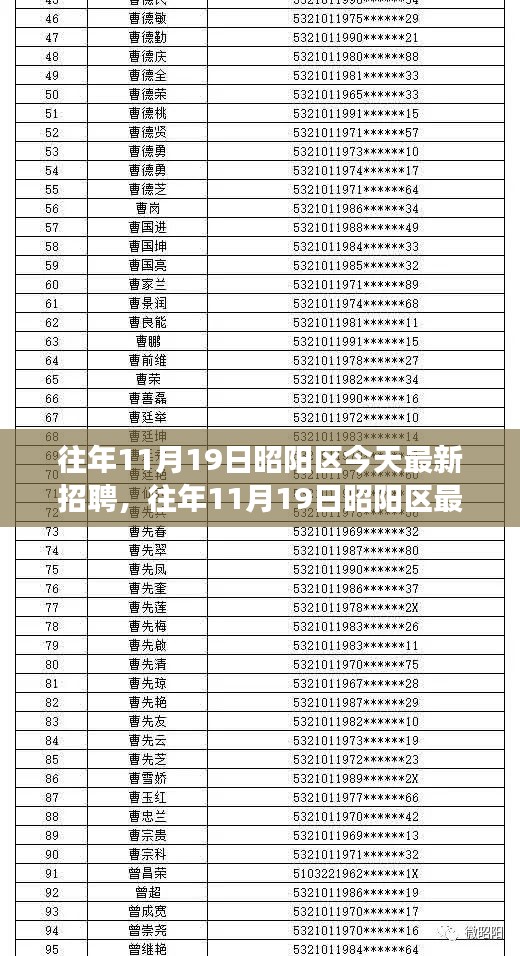 往年11月19日昭阳区招聘活动深度解析，特性、体验、竞品对比及用户洞察